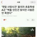 ‘캣맘 사망사건’ 용의자 초등학생 A군 “벽돌 던진건 맞지만 사람은 안 죽였다” 이미지