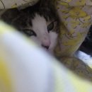 지호한방삼계탕(광양점) 이미지