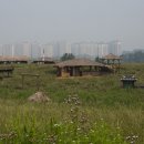 무수목장 이미지