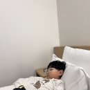 1박2일 춘천 레고랜드 여행🚙(인생2272-2273) 이미지