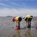 학림섬어촌체험휴양마을 이미지