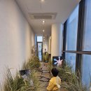 용두길 | 파충류카페 밀림 대구 봉덕동 아기랑 후기｜2층 노키즈 주문 → 3층 키즈존 → 4층 파충류 갤러리 코스