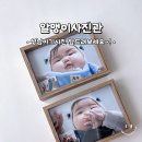 중원카인테리어 | 성남아기사진 알맹이사진관 쌍둥이 백일촬영✨ 엎드려보세요~