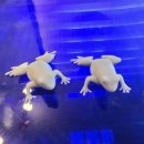대전세종3D