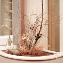 트리옹프닥터의원 이미지