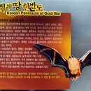 운수대통 이미지