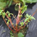 무주농장 이미지