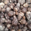 뜨락농장 이미지