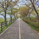 경기도 양평군 양평동초등학교 이미지