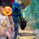 큰집목장 이미지