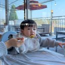 츄츄애견 | [애견 동반]삽교호 당일치기 여행/ 애견동반 하야미 식당 후기