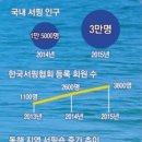 양양서핑스쿨낭만비치