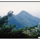 서면 당림2리 이미지