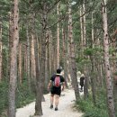 금강산 | [속초 가족여행] 부모님과 함께 향한 강원도 금강산 등산 후기 및 여름 휴가 이야기