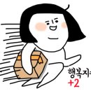 이삼사디 이미지