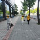 가락지구대 이미지