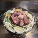 삿포로 여행 준비 : 쿠이테이 징기스칸 맛집 전화 예약 후기 / OTO call 무료 국제전화 이용