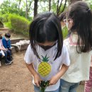 9.26 상추심기 / 초안산숲놀이 (참나무,도토리) 이미지