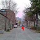 천진포자 - 종로구 창의문로 133 | 천진포자