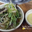 푸른솔농장5 이미지