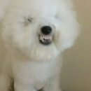 구권빈