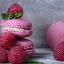 구미가 당기다 이미지