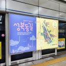 위티데이지 네이버블로그