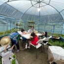 명사초등학교병설유치원 이미지