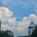 정원센텀뷰 | [부산 해운대 여행1]환상적인 시티뷰의 벡스코 근처 호텔&lt;트레블로지스위트 부산센텀&gt;