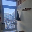 그루머스 스튜디오 이미지