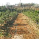 운곡 농장 이미지