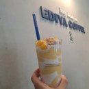 파리바게뜨 단관점 | 원주 단구동 카페 이디야/ 시원 달달 신메뉴 컵 망고빙 후기
