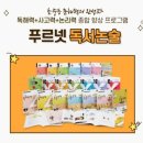 문해력 독해력 향상 초등논술 이미지