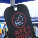 도솔광장 잔디광장 이미지