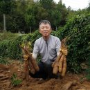 최용순농장 네이버블로그