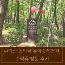 수락숲이랑 | [노원구 아이와 가볼 만한 곳] 수락산 동막골 유아숲 체험원, 수락휴 따끈따끈한 방문 후기