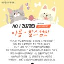분당중앙동물병원 네이버블로그
