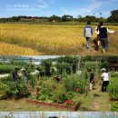 최인숙 농장 이미지