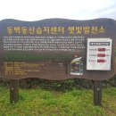 동백 태양광발전소 이미지