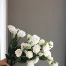 홍성화원 이미지