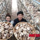 내탐마을 이미지