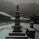 산사죽향