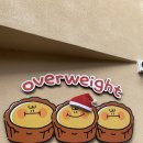 중앙시장 제1주차장 화장실 | 오버웨잇 강릉본점 / 강릉 중앙시장 근처 초당옥수수 타르트 주차장 위치 솔직 후기