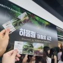 서울숲 전시 팀보타전 하울림 후기 (with 마이아이코 소피아백 미듐 실버 착샷)