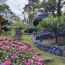 도연농원 이미지