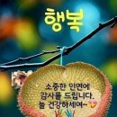행복한선물 이미지