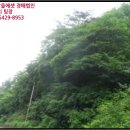 정선군보건소남면지소 이미지