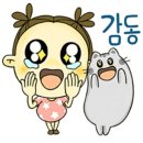 신바람디스코장구