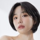 헤어클립스 이미지