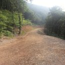 엄광산임도 이미지